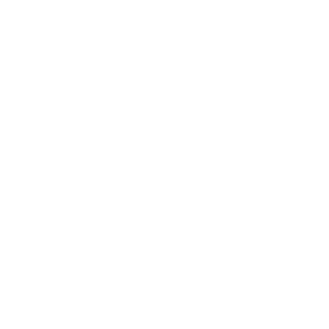 City Seal